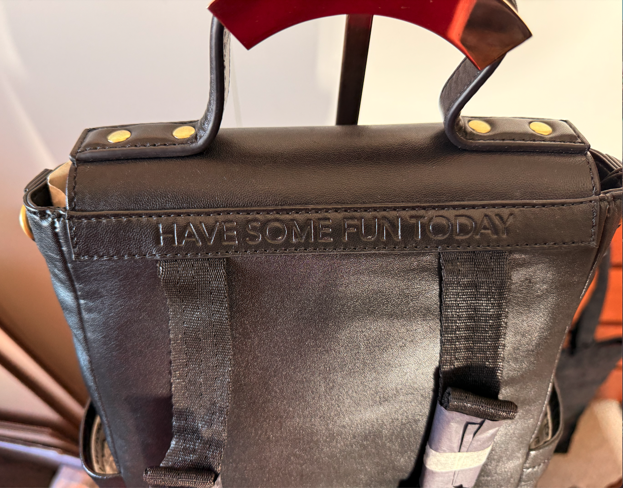 SS95 Have Some Fun Today Brand's Lamb Backpack