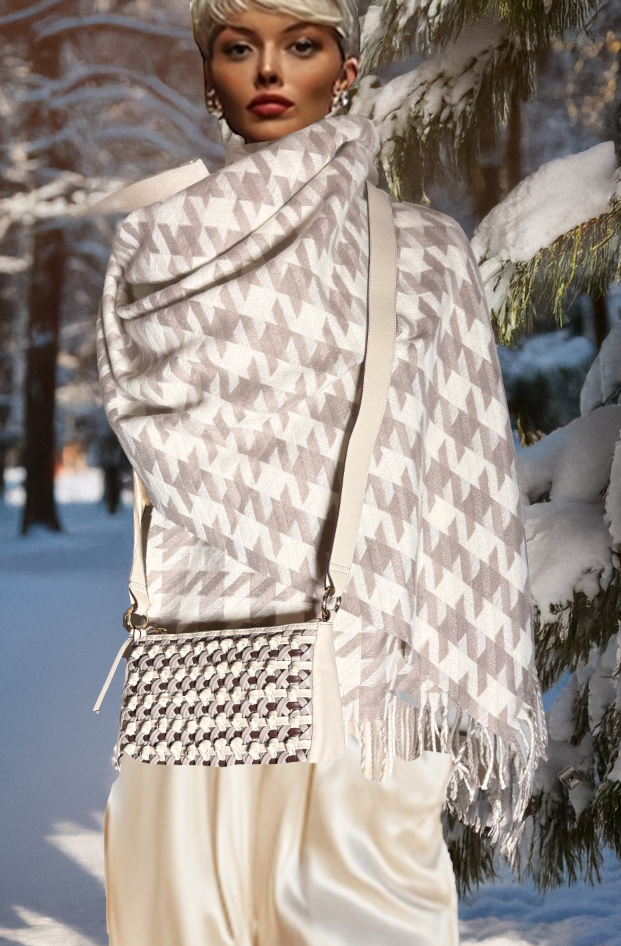 Cashmere Shawl & Handbag combo 1